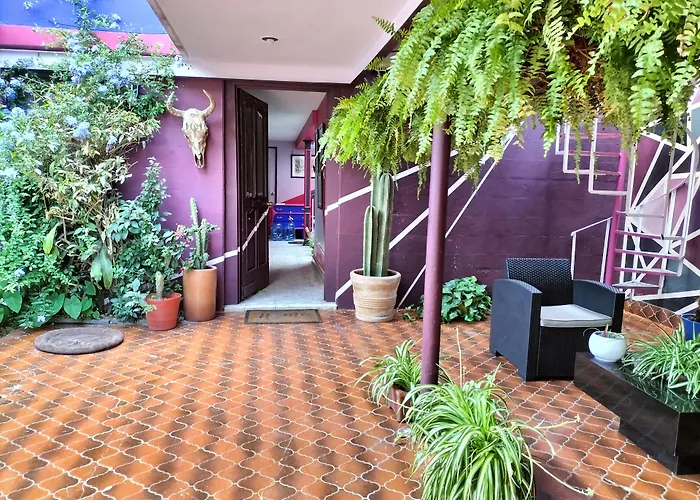 Welcome To... Casa Maguey. 4*